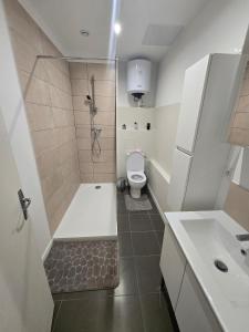 a bathroom with a shower with a toilet and a sink at Le Canetois in Canet-en-Roussillon