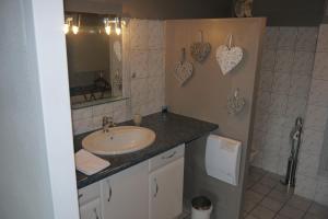 a bathroom with a sink and a mirror at Au Jardin D'Eloïse in Tréméreuc