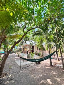 a hammock hanging from a tree in front of a house at Sunset Cottages in Hitokalak