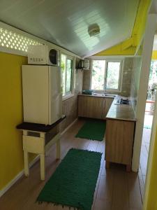a kitchen with a refrigerator and a counter with green rugs at Hitirā Lodge presqu'île in Atihiva
