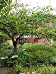 a garden with two benches under a tree at Il Piccolo Giardino Paratico in Paratico