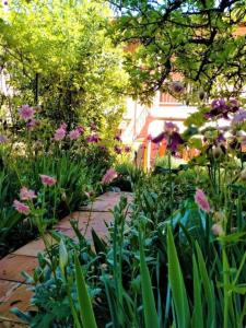 a garden with pink flowers and a stone walkway at Il Piccolo Giardino Paratico in Paratico +11 photos