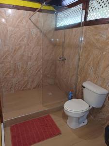 a bathroom with a shower with a toilet and a shower at Hitirā Lodge presqu'île in Atihiva