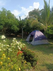 a tent sitting in the grass in a yard at Maná Quinta Campestre in Carmen de Apicalá