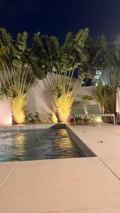 a pool of water with palm trees and benches at Cozy house with pool in Campo Grande