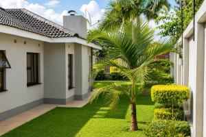 a palm tree in a yard next to a house at Cozy Corner Monavale in Harare