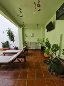 a living room with plants on the walls and a couch at Sicarú, La Punta - Puerto Escondido in Brisas de Zicatela