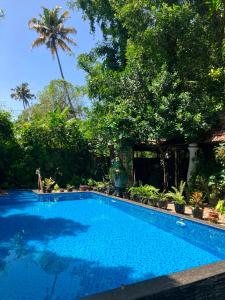 a blue swimming pool in a yard with trees at Marari Dreamz Homestay in Mararikulam
