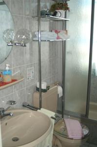 a bathroom with a sink and a toilet and a mirror at Hotel Borcharding Rheine Mesum in Rheine