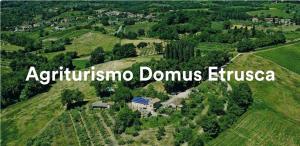 Domus Etrusca sett ovenfra
