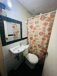 a small bathroom with a toilet and a sink at Nuevo Hotel Transportador in Bogotá
