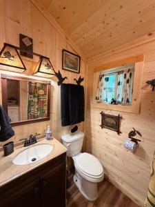 a bathroom with a toilet and a sink in a cabin at The Dapper Duck Log Cabin in Cosby