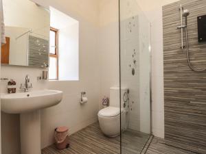a bathroom with a toilet and a sink and a shower at Wern Olau Cottage in Caernarfon +24 photos