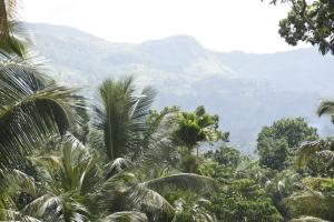 Gallery image of Glenfield Villa Sinharaja in Deniyaya