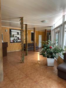 a large room with plants in the middle of it at Green House in Karakol
