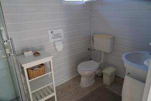 a small bathroom with a toilet and a sink at Casa 9 in Sfântu Gheorghe +20 photos
