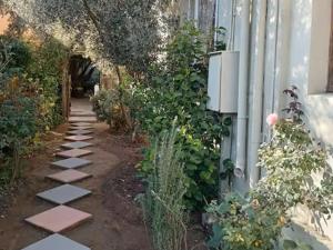 a garden path next to a building with plants at The Rose and Olive in Cradock