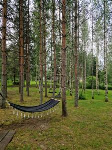 a hammock in the middle of a forest of trees at Cute old garden cottage in Kirkkonummi
