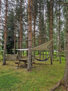 a hammock and a picnic table in the woods at Cute old garden cottage in Kirkkonummi