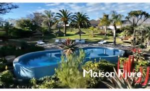 a pool in the yard of a villa with palm trees at Maison PJURE Boutique Hotel & Spa , Adults Only in Montagu
