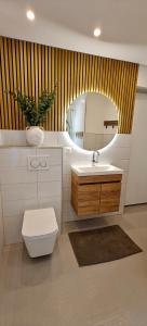 a bathroom with a toilet and a sink and a mirror at Ferienwohnungen Meier in Ebensee