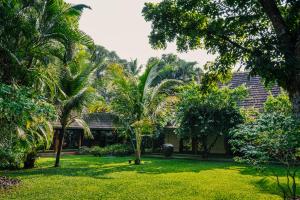 a garden with palm trees in front of a house at Indian Summer House in Mūvattupula +14 photos