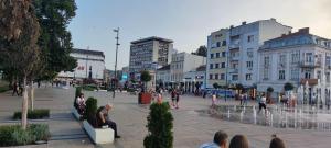 a group of people sitting around a fountain in a city at Топсоба12 in Niš