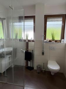a bathroom with a shower and a toilet and a sink at Ferienwohnung Ehrenberg-Feeling in Ehrenberg +9 photos