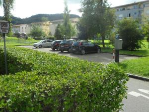 a group of cars parked in a parking lot at Hotel Schneider in Bad Säckingen
