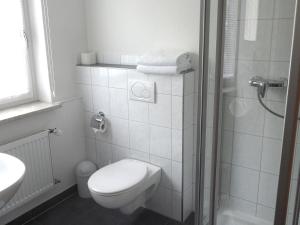 a white bathroom with a toilet and a shower at Hotel Schneider in Bad Säckingen