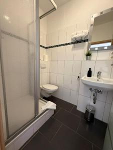 a bathroom with a shower and a toilet and a sink at Dahlbrucher Hof in Hilchenbach