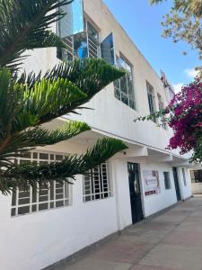 a white building with windows and a palm tree at Rv delight suite in Nairobi