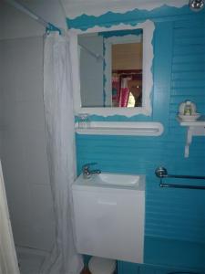 a blue bathroom with a toilet and a mirror at La Petite Fadette in Sancoins