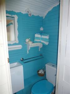 Baño azul con aseo y lavamanos en La Petite Fadette, en Sancoins