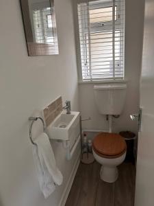 a bathroom with a toilet and a sink and a mirror at Number 4 in Avington +20 photos