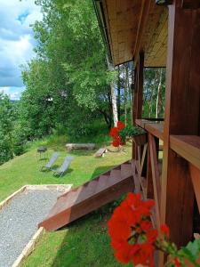 a porch of a house with a bench and red flowers at EkoGaik in Lewin Kłodzki +9 photos