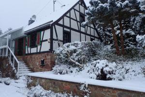 vakantiehuis Hunsrück im Winter