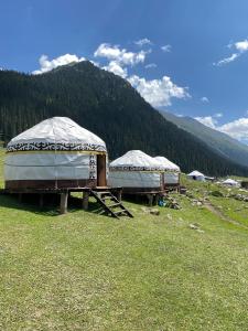 two yurt tents in a field with a mountain at Kerben Yurt Camp Arashan in Mineralʼnyy Istochnik Altyn-Arasan +13 photos