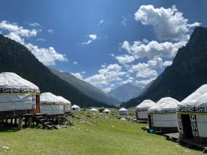 a group of tents in a field with mountains at Kerben Yurt Camp Arashan in Mineralʼnyy Istochnik Altyn-Arasan