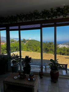 a room with potted plants and a view of the ocean at Iliovasilema in Vathý