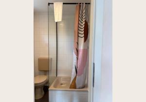 a bathroom with a shower curtain and a toilet at hortensiengarten in Teningen +7 photos