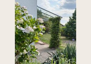 a garden with pink flowers and a building at hortensiengarten in Teningen