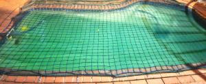 an overhead view of a pool with green water at Lilly by the road in Durban