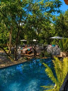 a swimming pool in a yard with trees at Forget me not Selfcatering Apartments in Nelspruit