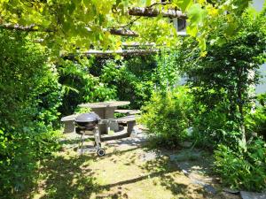 a grill and a picnic table in a garden at Holiday Home Stellina del Sole by Interhome in Brissago