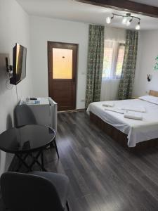 a bedroom with a bed and a table and a television at Casa Rodica in Dubova