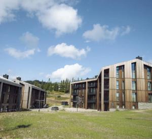 a building with a grass field in front of it at Hytter og leiligheter i Kvitfjell - Alpinco in Ringebu