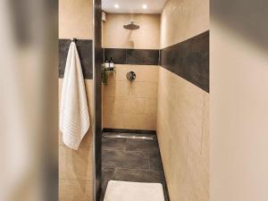 a bathroom with a shower with a toilet in it at Apartment Wohnung „Sonnendeck“ by Interhome in Laupheim +19 photos