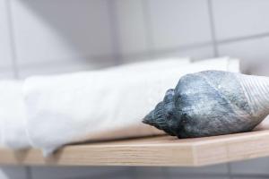 a sculpture of a shoe sitting on a wooden shelf at Ferienwohnung Unterlechner - Apt 3 in Vomp +3 photos