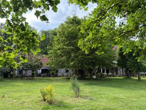 a house with a yard with trees and grass at Clos Lujatis in Valençay